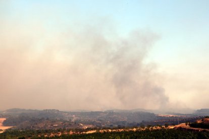 humo, fuego, incendio, Maials