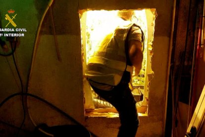 Localizan en Valls una plantación de marihuana vigilada por perros de toma|presa