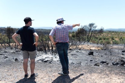 Los Bomberos evitan que el incendio crezca en extensión y son optimistas