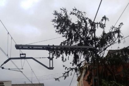 Roda Barà, arbre, catenària