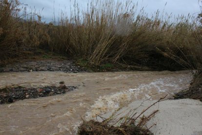 La riera d'Alforja baixa plena d'aigua pel temporal Gloria