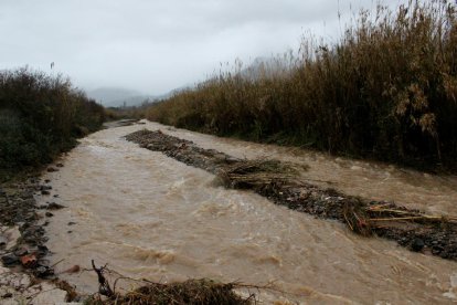 La riera d'Alforja baixa plena d'aigua pel temporal Gloria