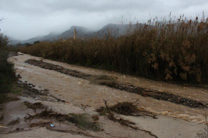 La riera d'Alforja baixa plena d'aigua pel temporal Gloria