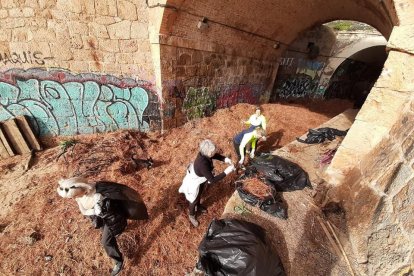 Voluntaris continuen la neteja de la Platja Llarga