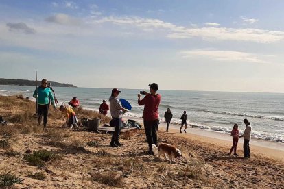 Voluntaris continuen la neteja de la Platja Llarga
