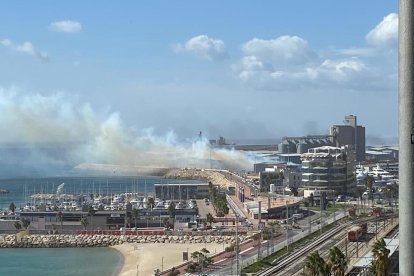 Incendi al Port de Tarragona d'unes piles de biomassa