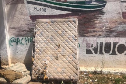 Un vial de les Gavarres ple d'herbes ofereix una greu imatge d'abandó