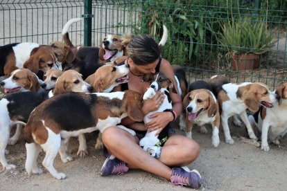 Una associació rescata 32 gossos Beagle d'un laboratori granja de Barcelona