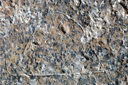 Una història de fa 13.000 anys