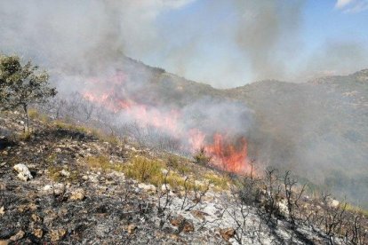 Dieciséis dotaciones trabajan en un incendio en Amposta
