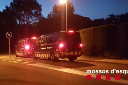 Dispositiu policial contra el tràfic de marihuana i el blanqueig de capitals a Catalunya