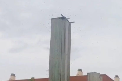 El rusc d'abelles que inquieta a uns veïns de Salou