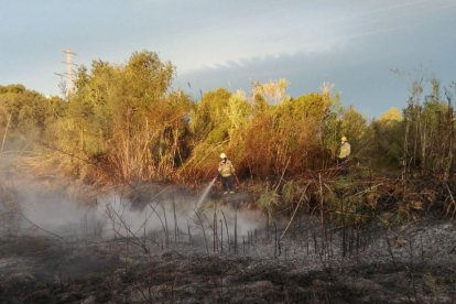 Un incendi afecta una hectàrea de vegetació a Creixell