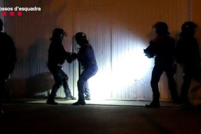 Desarticulado un grupo criminal en el Tarragonès dedicado al cultivo interior de marihuana