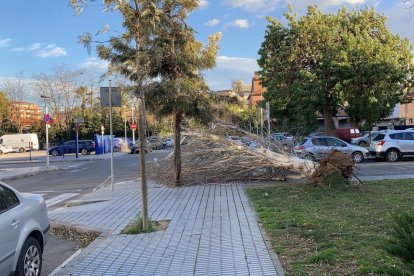 El 112 rep 266 trucades pel fort vent el matí, 31 del Baix Camp