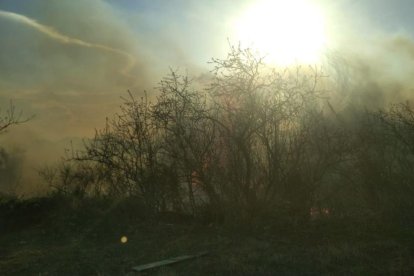 Los Bomberos trabajan en cuatro incendios de vegetación en el Campo de Tarragona