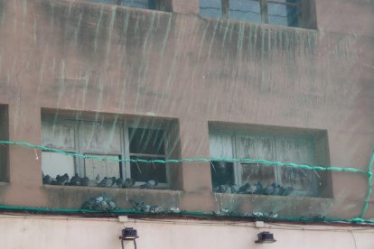 Un edifici del barri de Torreforta de Tarragona convertit en 'colomer' aixeca queixes de veïns i animalistes