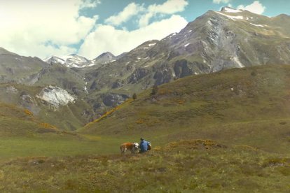 'Misteriosamente Hoy', el nou single i videoclip pòstum de Pau Donés