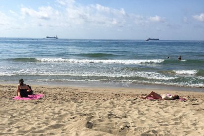 Un ejemplar de tortuga careta ha hecho un nido en la playa del Milagro de Tarragona