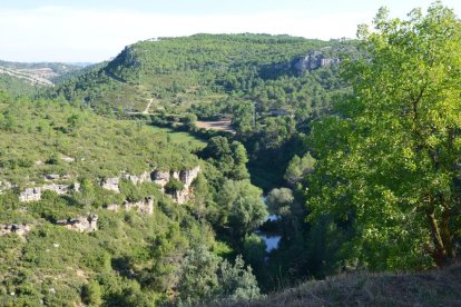 Els castells de l'Alt Gaià