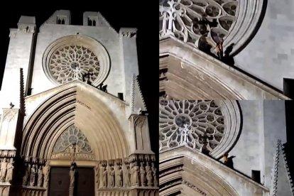 Tres joves intrusos es passegen per la Catedral de Tarragona