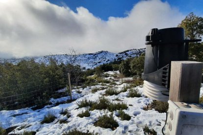 11 anys fent de vigies del cel