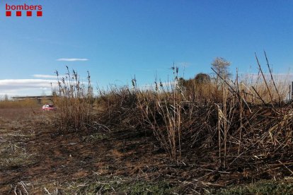 Es cremen 4.000m2 de vegetació a Reus