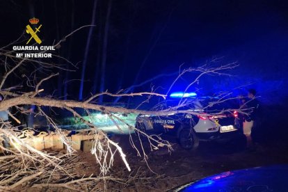 La Guardia Civil intercepta una partida de hachís descargada en la zona del bosque de la Marquesa de Tarragona