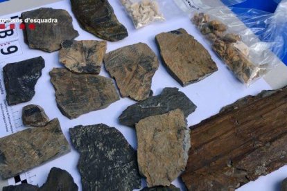 Denunciado por expoliar centenares de fósiles y restos paleontológicos de yacimientos catalanes durante cerca de 30 años