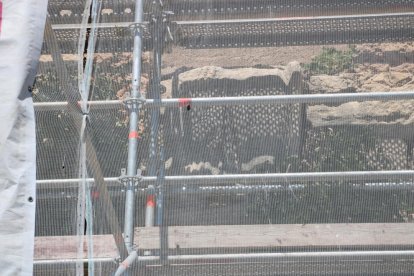 Operaris foraden la muralla romana de Tarragona i el relleu de Minerva que havien de restaurar