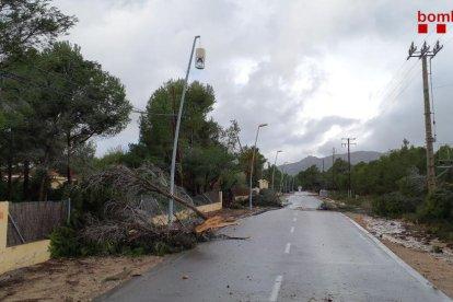Los Bomberos reciben medio centenar de avisos en tan sólo dos horas en Camp de Tarragona y el Ebre