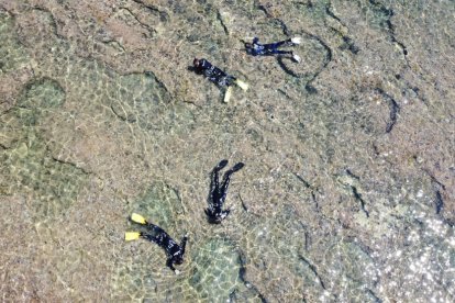Los arqueólogos hacen un hallazgo único dentro de las ánforas de un barco romano hundido en Gerona