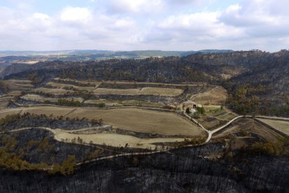 L'incendi de la Conca de Barberà i l'Anoia, a vista de dron