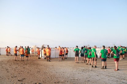 Més de 200 voluntaris anellen 400 polls de flamenc del Parc Natural del Delta de l'Ebre