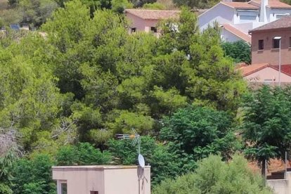 Les ocupacions il·legals a Roda de Berà posen en peu de guerra els veïns