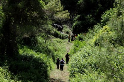 Suspenden la búsqueda del posible cuarto ocupante del vehículo siniestrado en la N-420 en Pradell