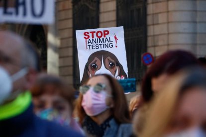 Centenares de personas reclaman la suspensión del experimento de la UB con Vivotecnia y la liberación de los cachorros