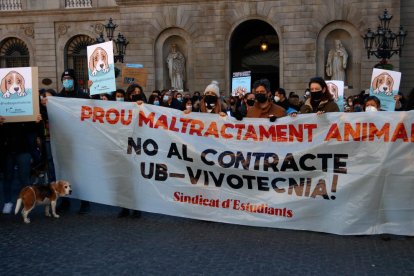 Centenares de personas reclaman la suspensión del experimento de la UB con Vivotecnia y la liberación de los cachorros