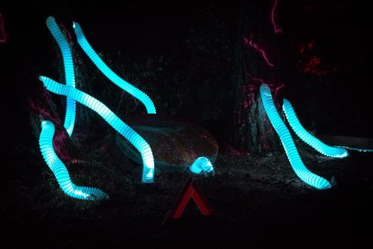 No ho sents? El bosc et parla