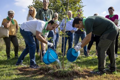 Participen 200 persones en la plantada d'arbres per la recuperació ambiental del riu Glorieta al Morell