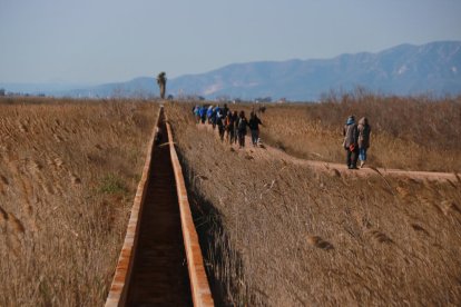 Las entidades ecologistas reclaman más inversiones para las zonas húmedas del delta del Ebro