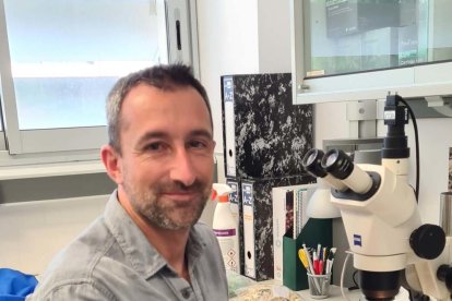 Cuatro investigadores del IPHES-CERCA, entre los más influyentes del mundo