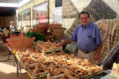 Los boletaires de las Terres de l'Ebre dan por cerrada una temporada «floja» pero con variedad de ejemplares
