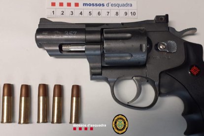 Dos perros abandonados a una finca permiten desmantelar una plantación de marihuana a Vandellòs y l'Hospitalet