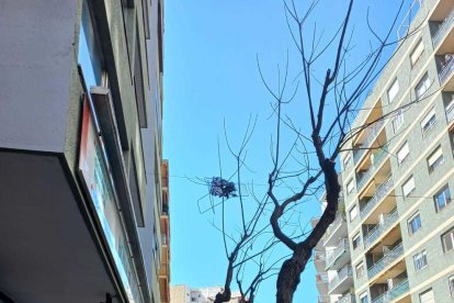 El vent fa volar un estenedor i provoca un ensurt a Ramón y Cajal