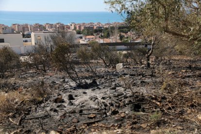 Veïns de Calafell: «Vam estar creuant els dits per a què el foc no arribés a casa nostra»