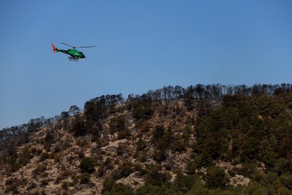Veïns de Calafell: «Vam estar creuant els dits per a què el foc no arribés a casa nostra»