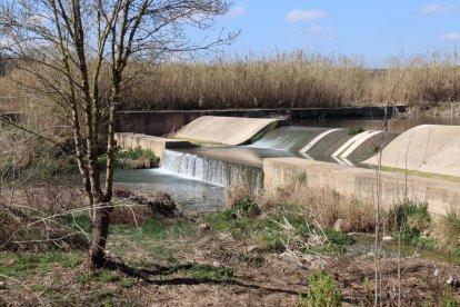 Milloren la ribera del riu Francolí de Tarragona i creen una ruta circular