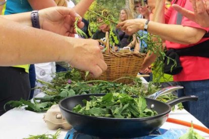 La cara bona de totes les plantes