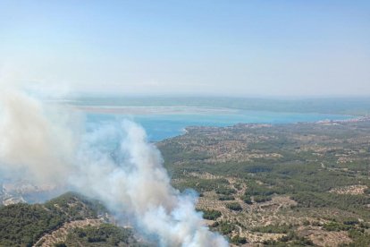 Un nuevo incendio afecta a la balsa de Fusté en el Perelló